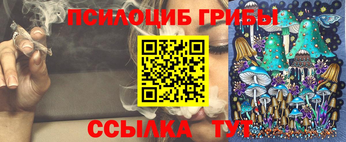Псилоцибиновые грибы Cubensis Тихвин