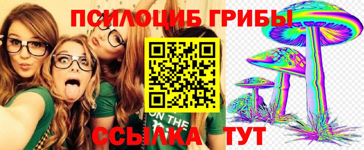 Псилоцибиновые грибы GOLDEN TEACHER  Вход с VPN  где продают   Тихвин  Псилоцибиновые грибы Psilocybine cubensis 
